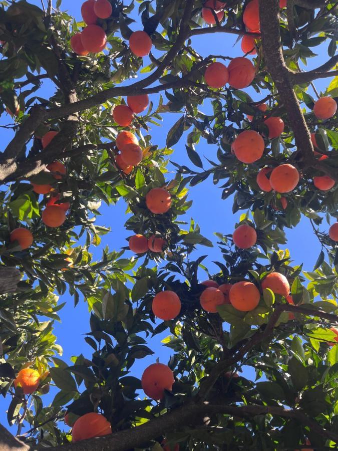 Paraiso A Dois Em Estremoz