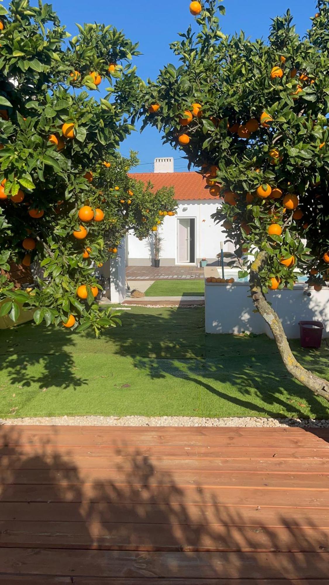 Paraiso A Dois Em