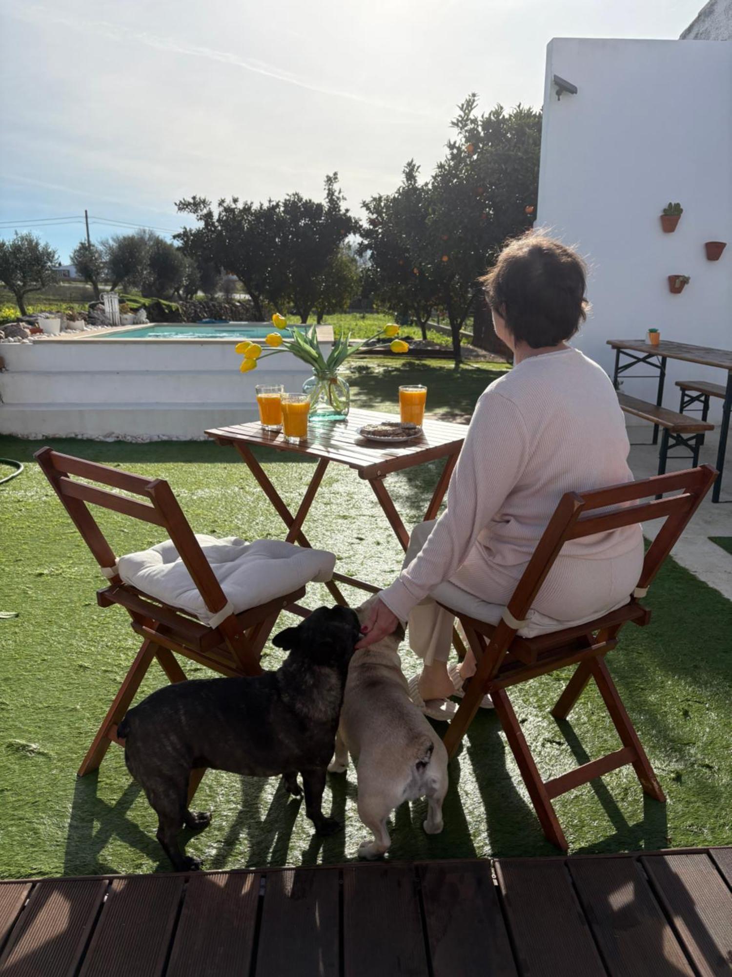 Paraiso A Dois Em Holiday home Estremoz